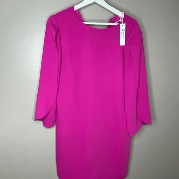 knee length dresses for ladies Central Park Perfection Shift Dress In Hot Pink Curves main image 0